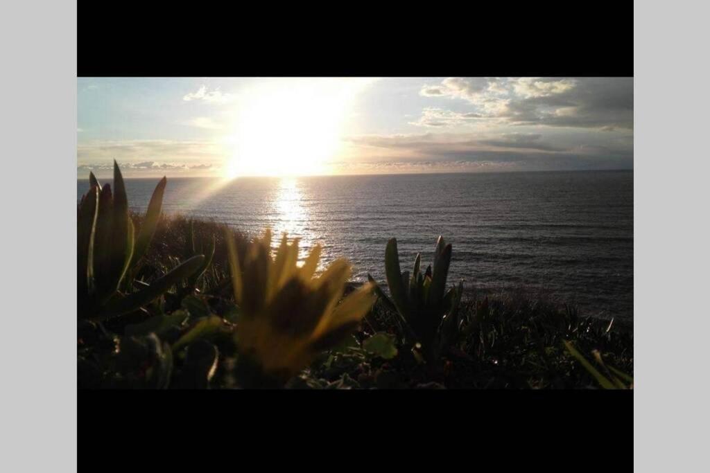 הוילה ססימברה A Casa Da Foz Moradia Com Vista Mar מראה חיצוני תמונה
